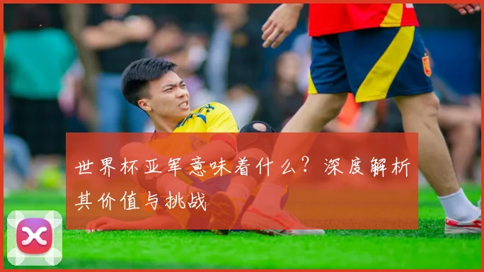 世界杯亚军意味着什么?深度解析其价值与挑战