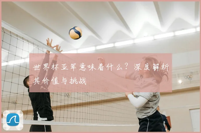 世界杯亚军意味着什么?深度解析其价值与挑战