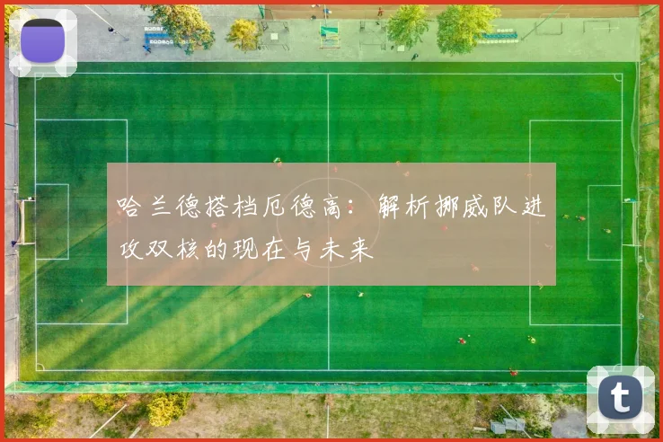 哈兰德搭档厄德高:解析挪威队进攻双核的现在与未来